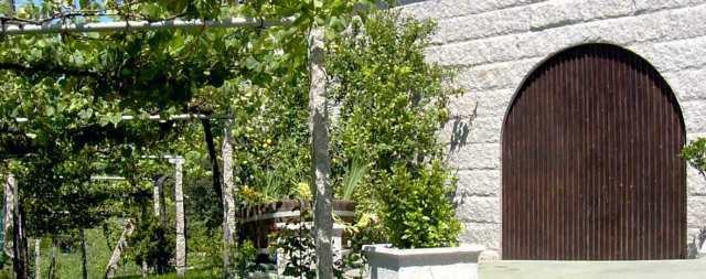 vinedos junto a una puerta de madera